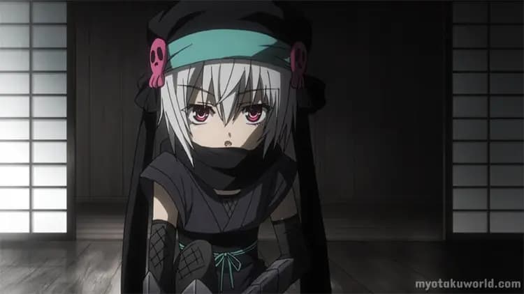 24 Anime Ninja Girl Characters of All Time