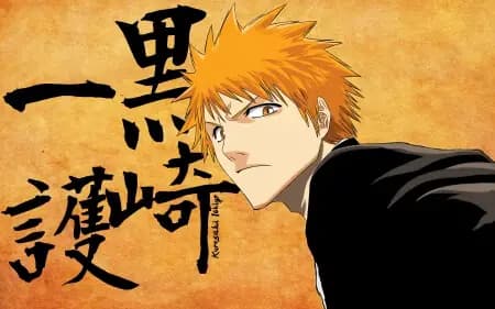Ichigo Kurosaki From Bleach