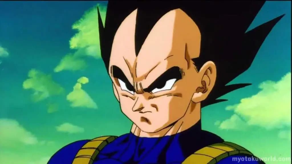 Vegeta From Dragon Ball Z
