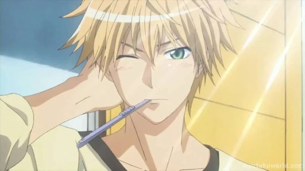 Takumi Usui From Kaichou wa Maid-sama