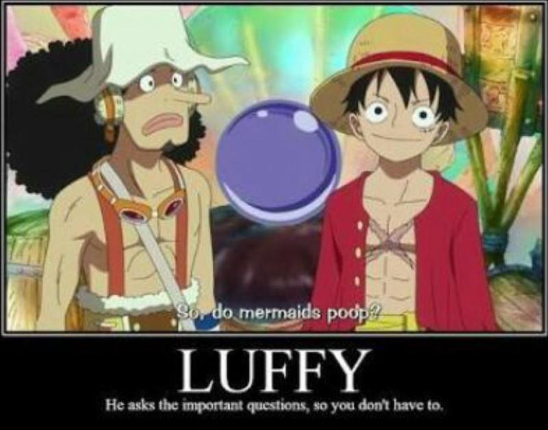 wallpapers Funny Anime Memes One Piece 21 best of one piece memes of all time my otaku world