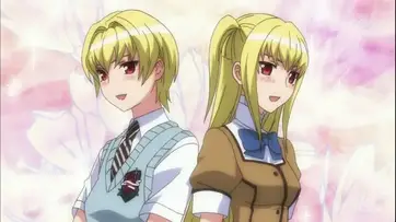 It has been said to be inspired by the popular late 1990s american television series baywatch that also appeared. 21 Popular Anime Twins Characters My Otaku World