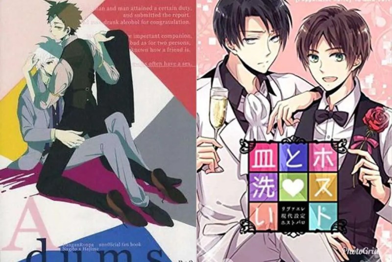 What is the difference between Doujinshi & Doujin?