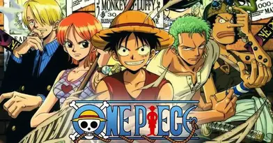 15 Best Reddit For Every One Piece Fan My Otaku World