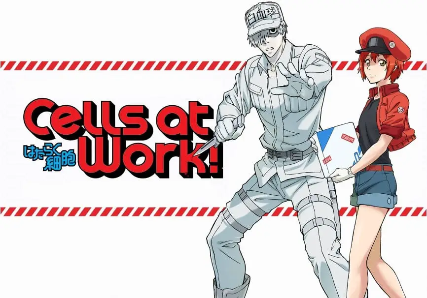 Cells at work Manga Released