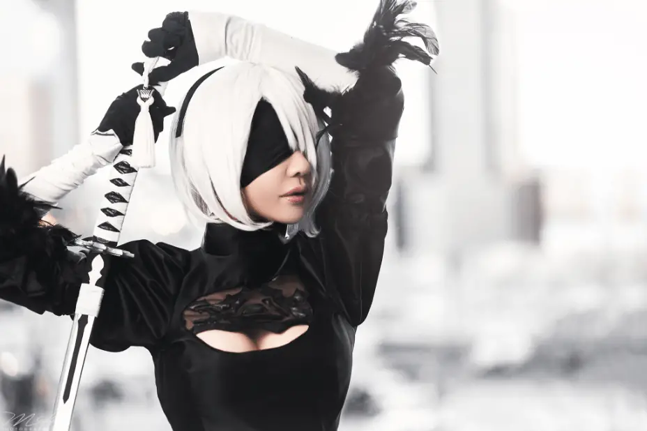 Vivid Vision 2B Cosplay