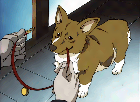 Anime Dog Gifs