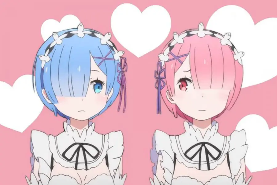 rem and ram cover