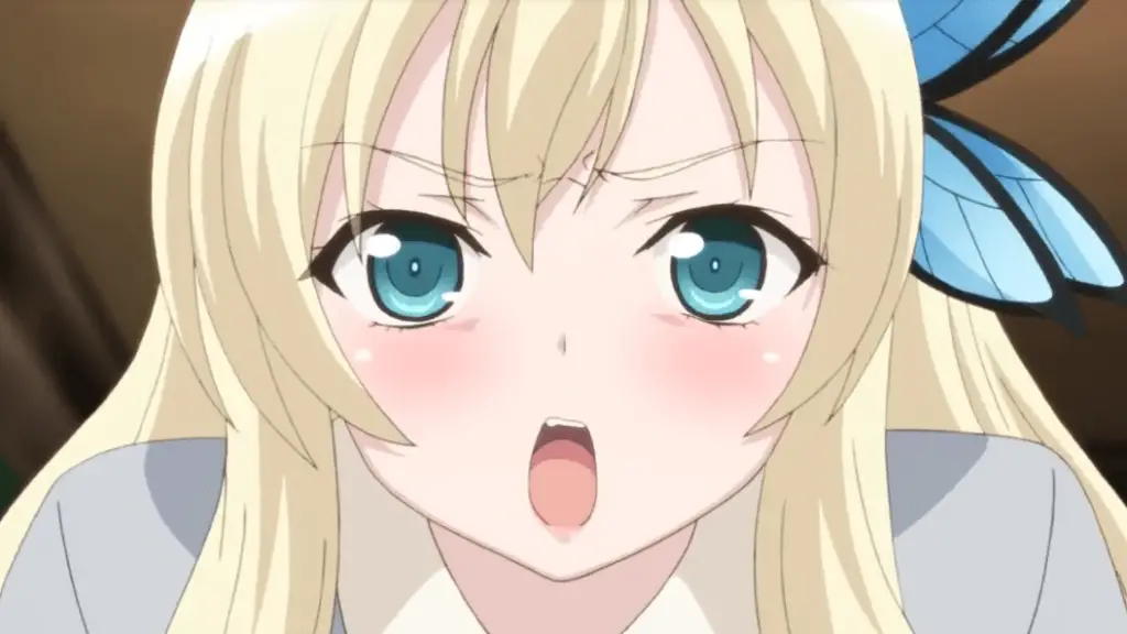 Sena Kashiwazaki From Boku wa Tomodachi ga Sukunai 