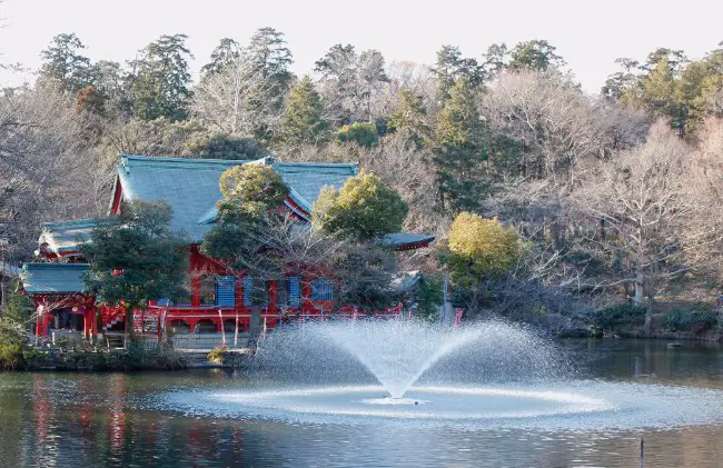 The Inokashira Park Dismemberment