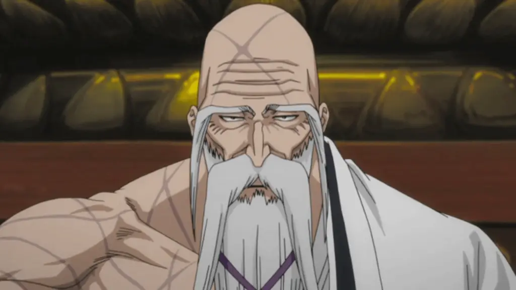 Genryuusai Shigekuni Yamamoto From Bleach 1 1 20 Best Bearded Anime Characters