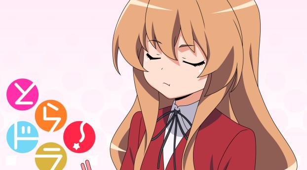 Taiga Aisaka From Toradora!