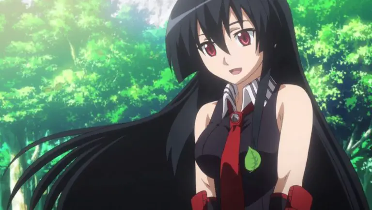 15 Best Akame Ga Kill Characters - My Otaku World