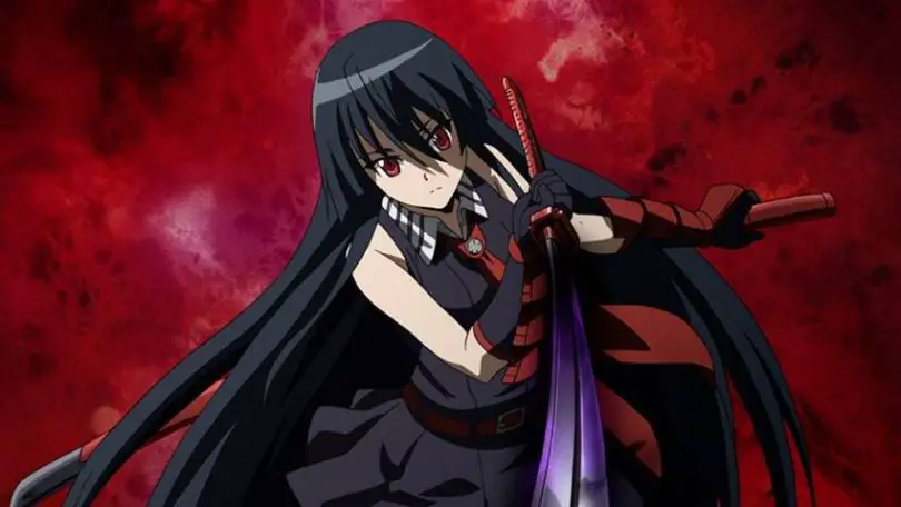 Akame From Akame ga Kill!