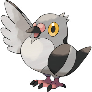 Pidove 1 58 Fascinating Bird Pokemon For Bird-Lovers (Updated In 2024)