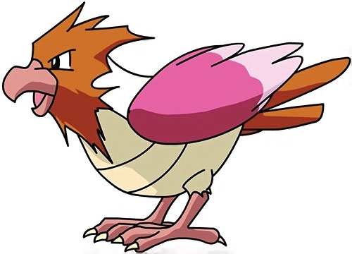 Spearow