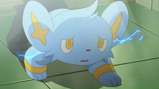 Shinx