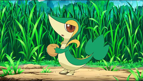 Snivy