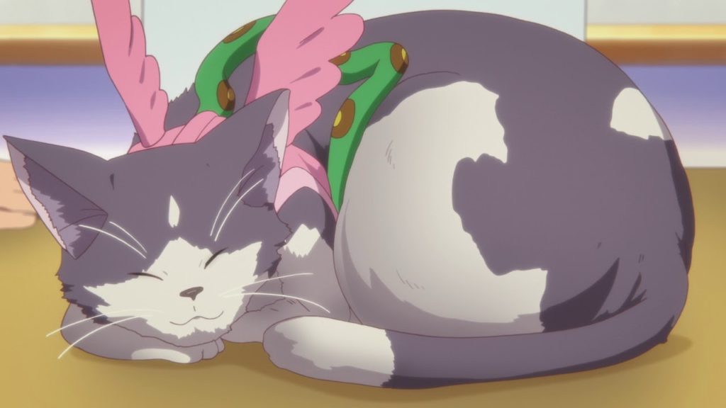 Chimera (Chuunibyou demo Koi ga Shitai) Anime Cats Felines