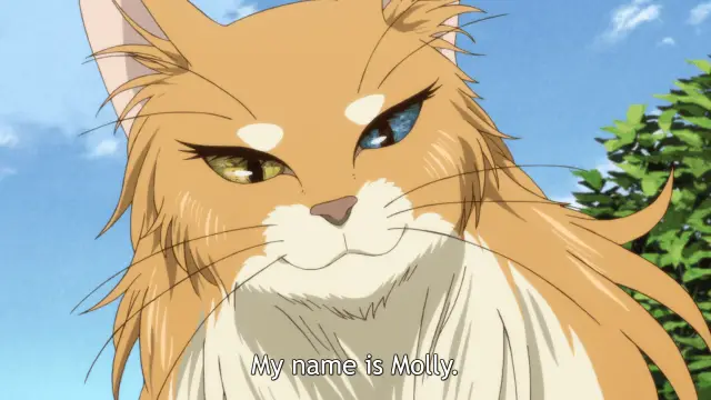 Molly (The Ancient Magus’ Bride) Anime Cats Felines