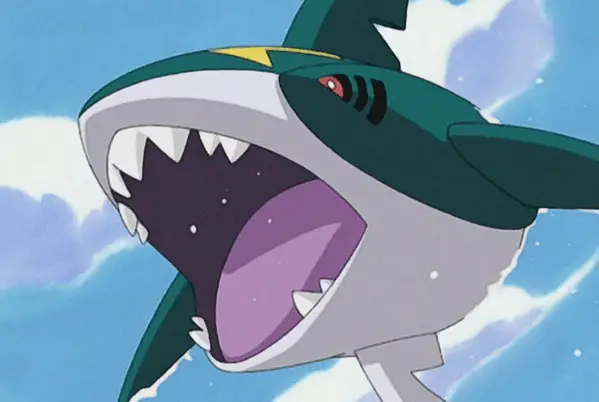 Sharpedo