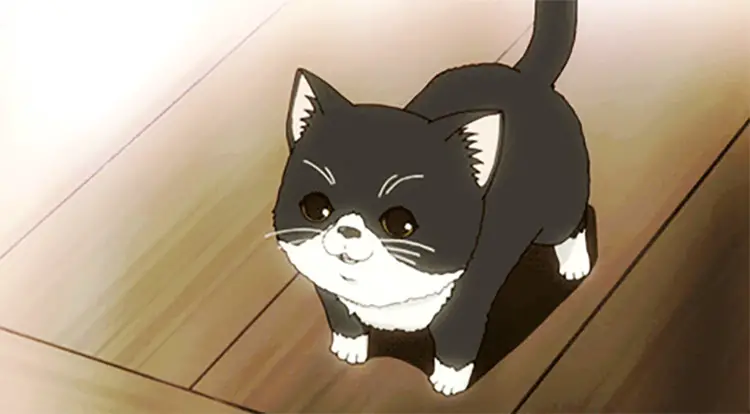 30 Best Anime Cats Felines of All Time - My Otaku World