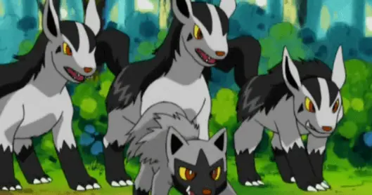 Mightyena 