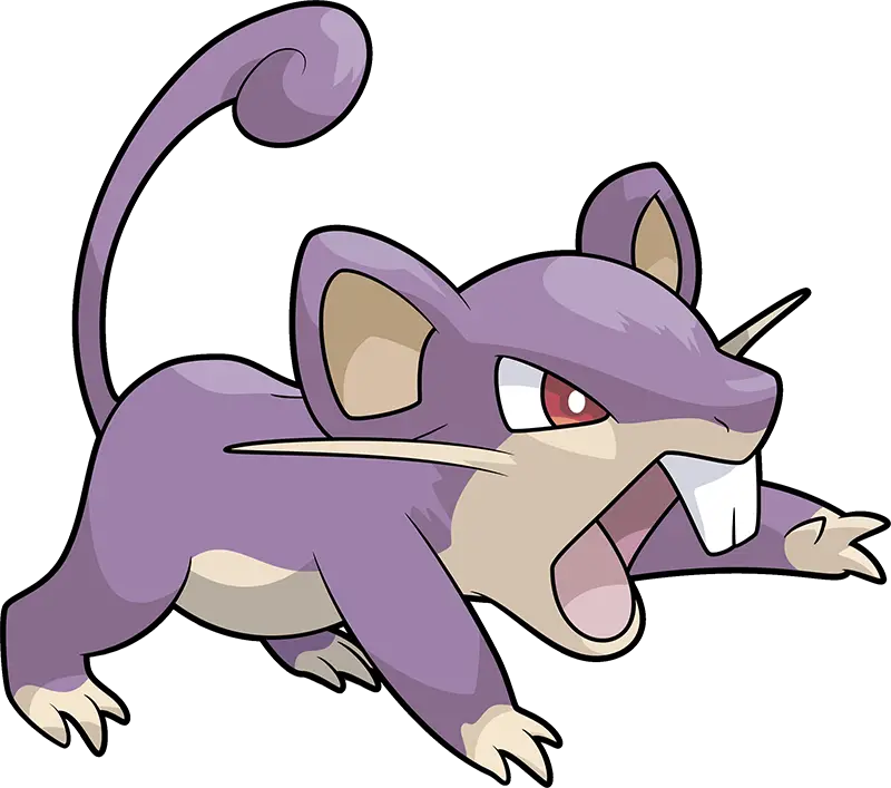 Rattata 