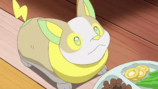 Yamper 