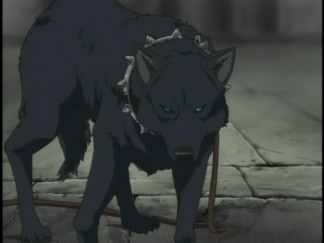 Blue From Wolf’s Rain