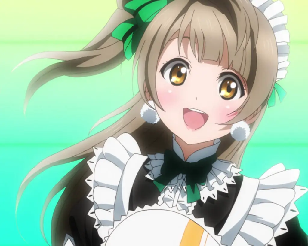 Kotori Minami From Love Live! School Idol Project