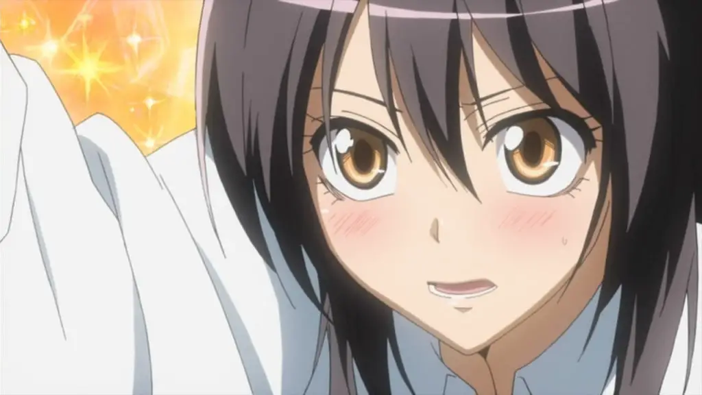 Misaki Ayuzawa From Kaichou wa Maid-Sama!