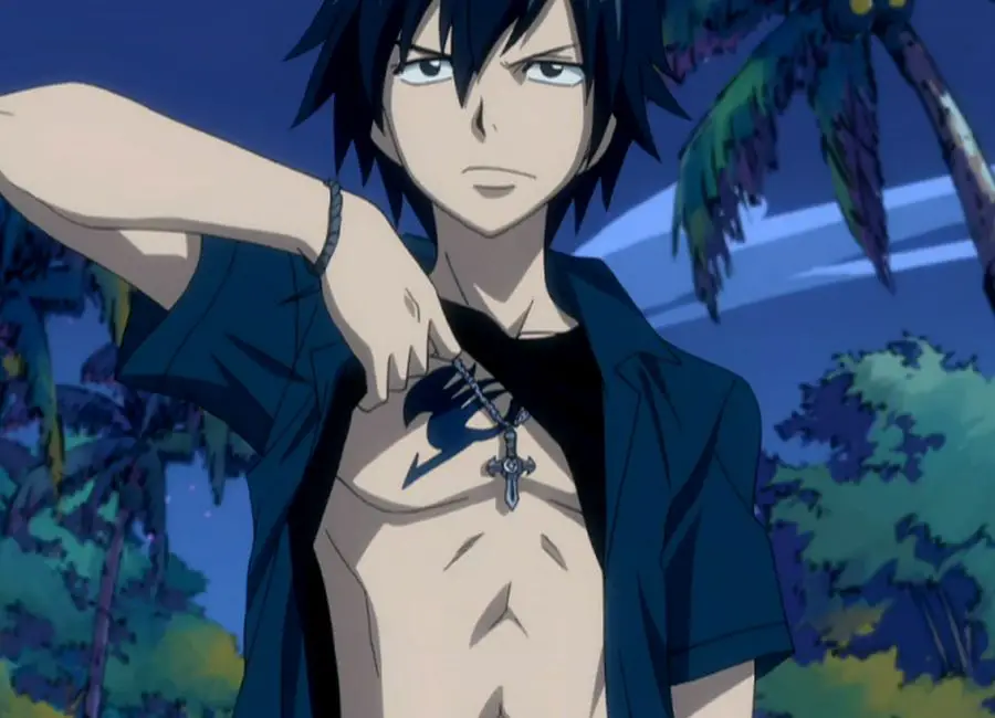 Gray From Fairy Tail