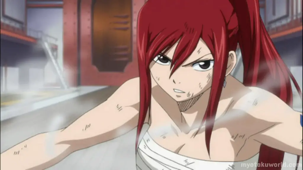 Erza Scarlet From Fairy Tail 1 1