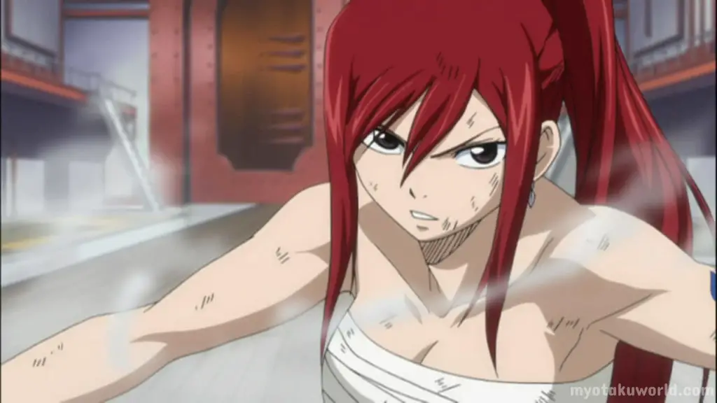 Erza Scarlet From Fairy Tail