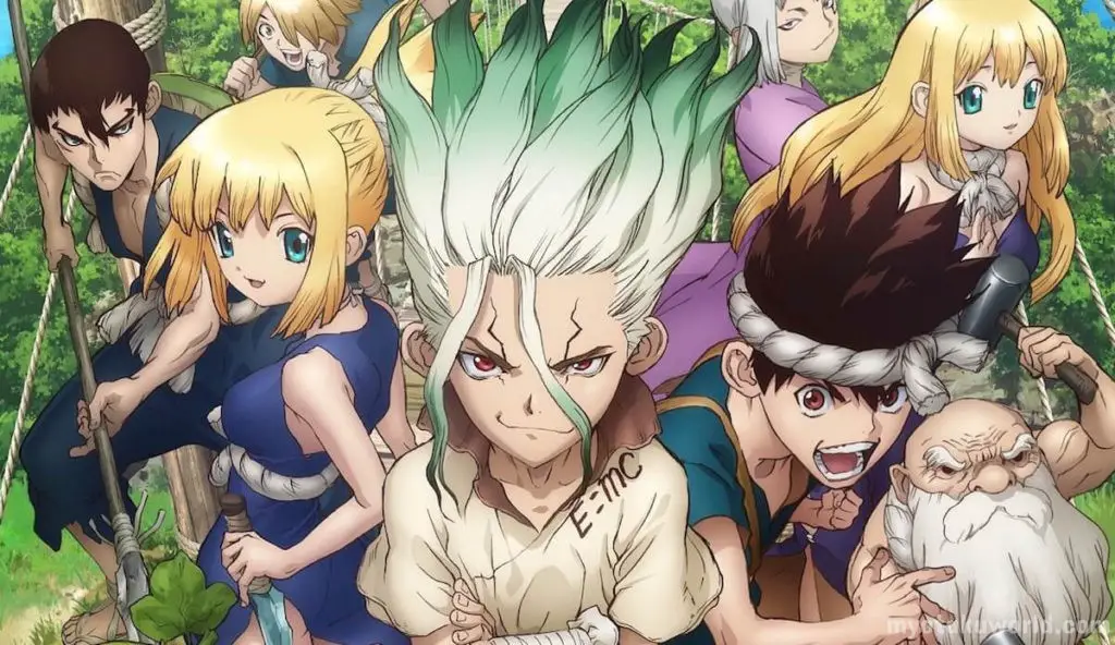 Dr. Stone