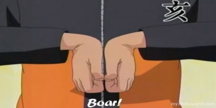 naruto Boar hand sign