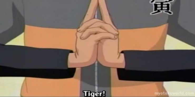 naruto Tiger hand sign