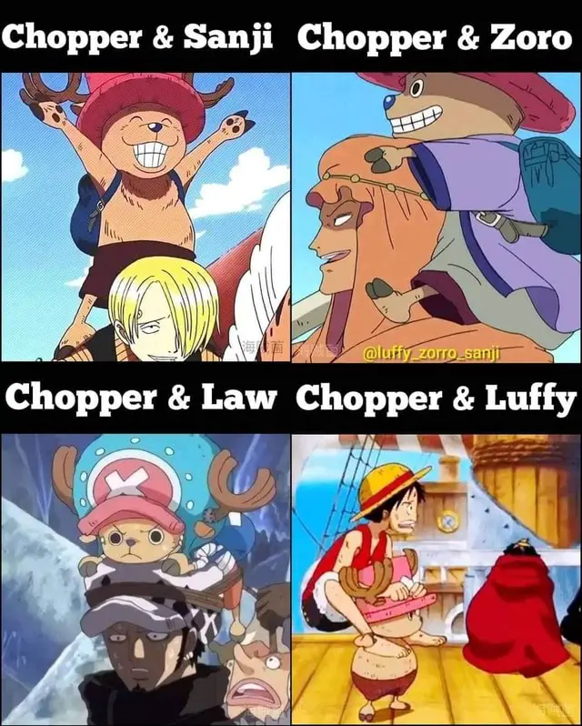 Best of One Piece Memes
