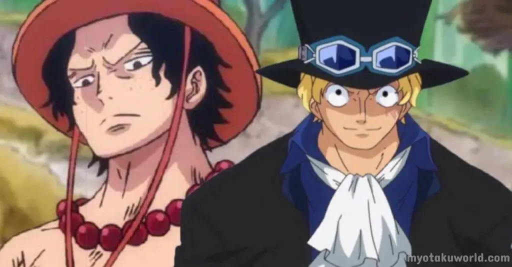 Portgas D. Ace And Sabo (435)