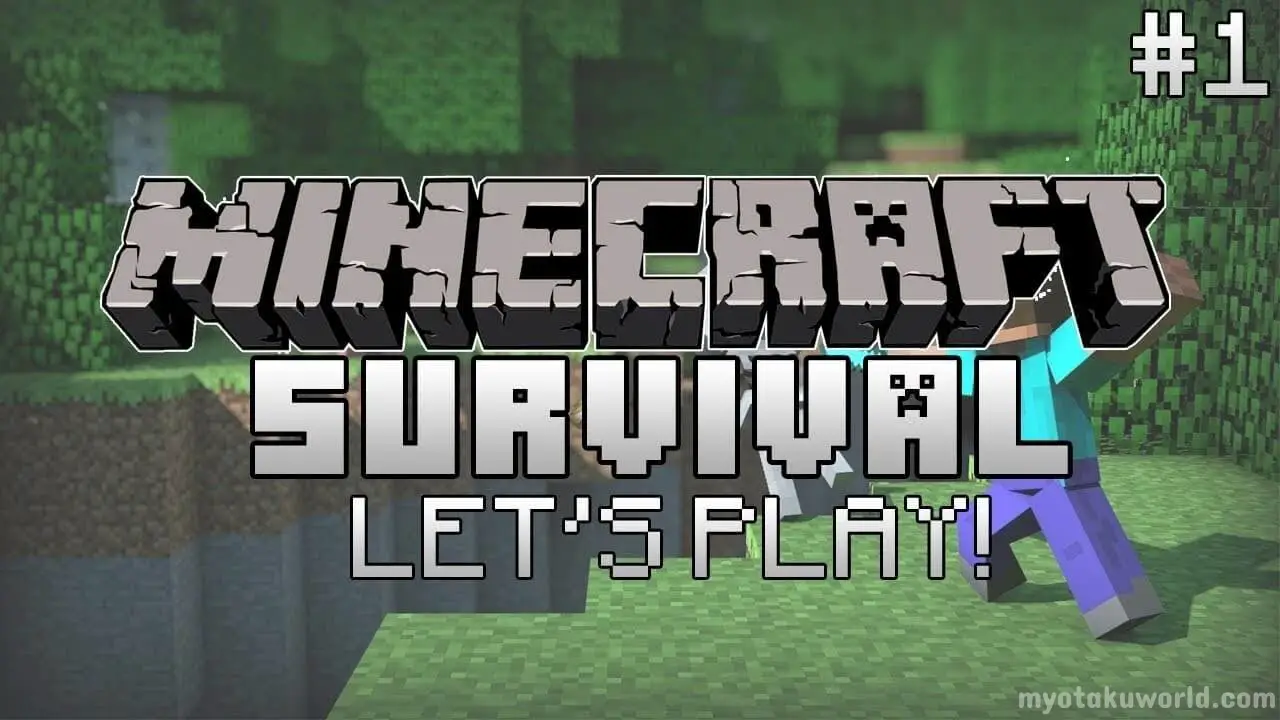Minecraft Survival Servers