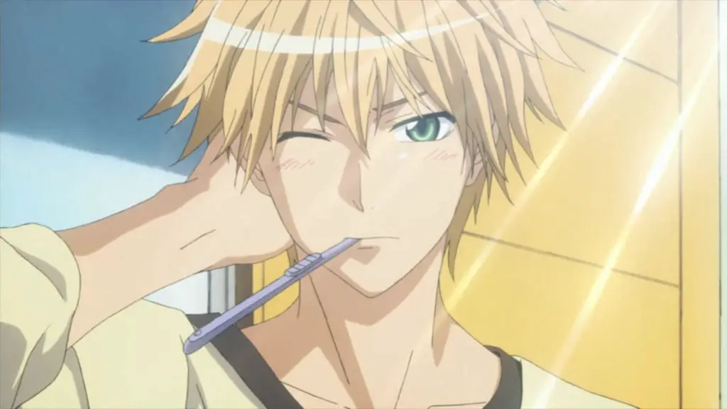 Takumi Usui from Maid Sama