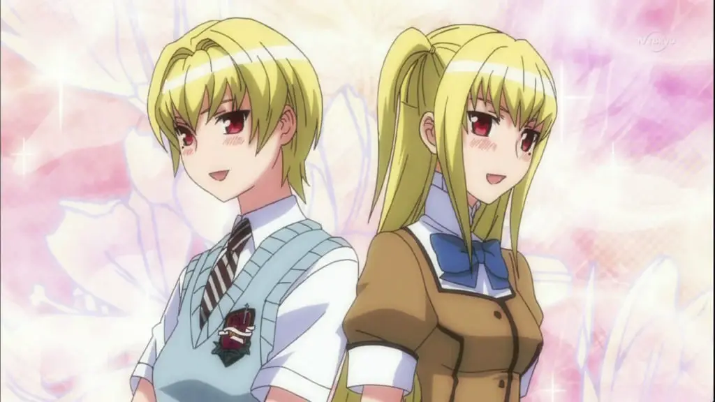 21 Popular Anime Twins Characters My Otaku World