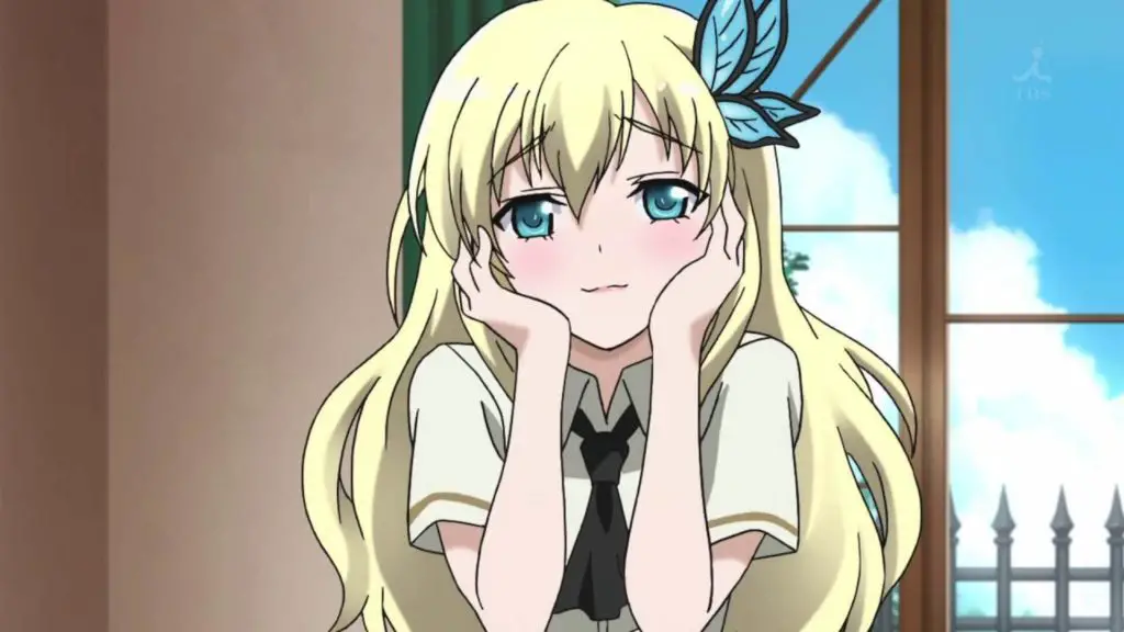 Sena Kashiwazaki From Haganai