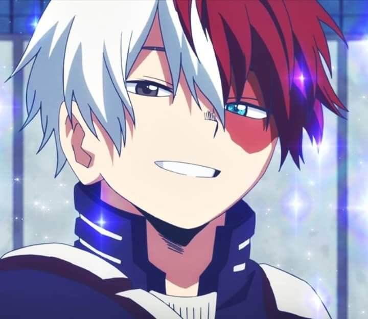 Todoroki Shoto From Boku no Hero Academia