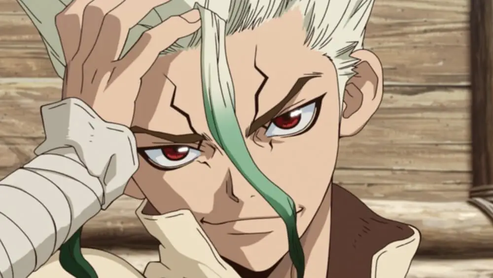 Dr. Stone