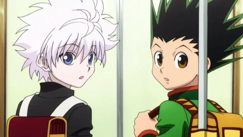 Gon and Killua From Hunter X Hunter