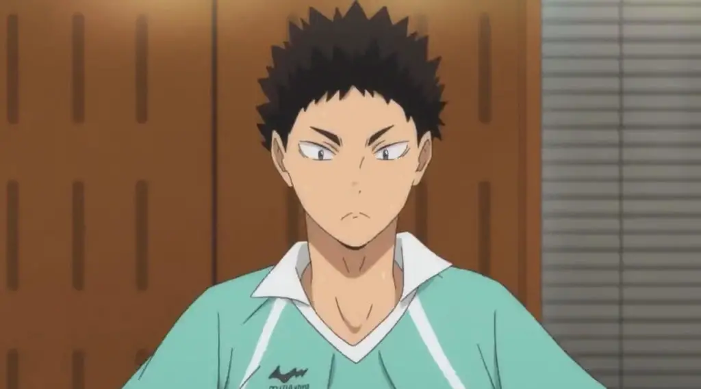 Iwaizumi Hajime From Haikyuu!