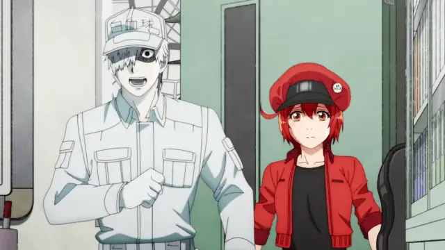 Red Blood Cell and White Blood Cell From Cells at Work 1