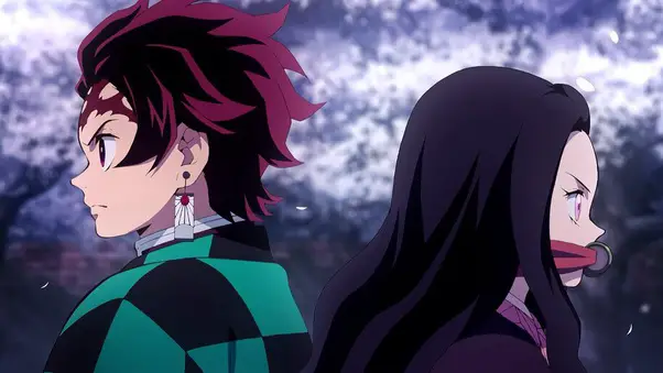 7. Kamado Tanjiro and Kamado Nezuko From Demon Slayer